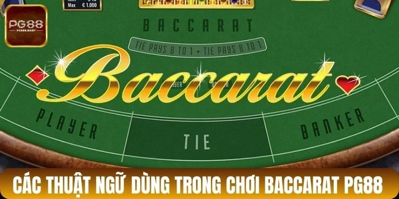 Các thuật ngữ dùng trong chơi Baccarat PG88