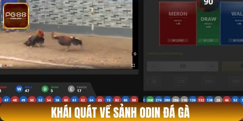 Thông tin cơ bản về sảnh Odin